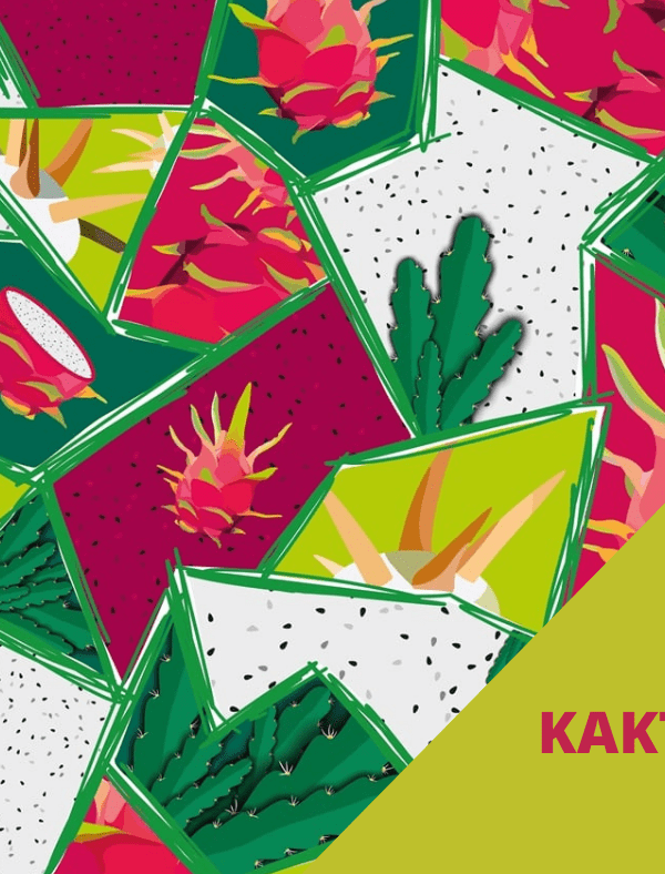 Kolorowy wzór kaktus pitaja