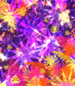 kolorowy wzór krokodyl