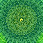 meksykański wzór tequila